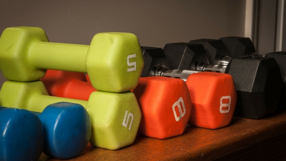 multi color hand weights for home gym